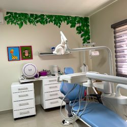 Dentista De Niños, Dra Analí Moreno, Odontologia Infantil