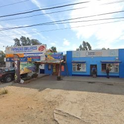 Dentista Del Valle
