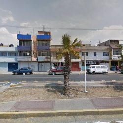 Dentista Dental Junior. Niños Y Adultos