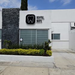 Dentista Dental Mate Slp