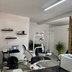 Dentista Dentaria