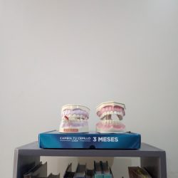 Dentista Dentvizor