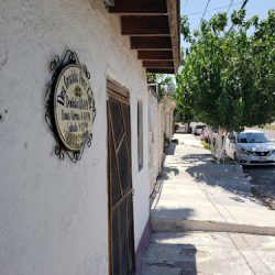 Dentista Dr Graciela Perez Calvo