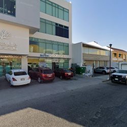 Dentista Dra. Alicia Jimenez