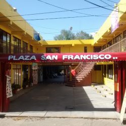 Dentista Dra. Berenice Loyola