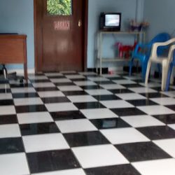 Dentista Dra. Bleysi Carol