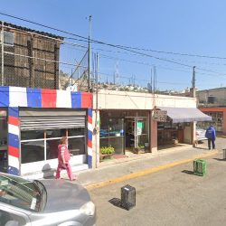 Dentista Dra. Concepción Torres Vilchis