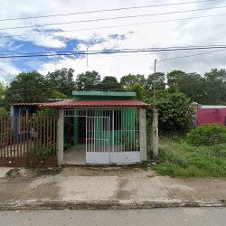 Dentista 