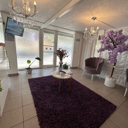Dentista Dra. Frida Catalan Sucursal Independencia Toluca