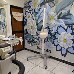Dentista Dra. Liza Alvarado
