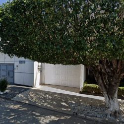 Dentista Edgar EfrÉn Morales V