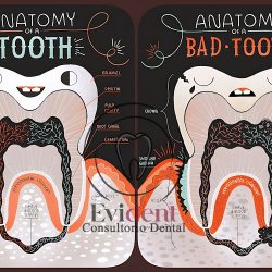 Dentista | Evident | Consultorio Dental