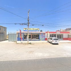 Dentista Gmsf