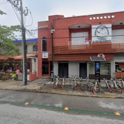 Dentista Grupo Odontológico Playa Del Carmen