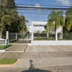 Dentista Guadalajara