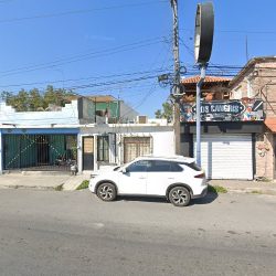 Dentista