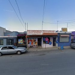 Dentista