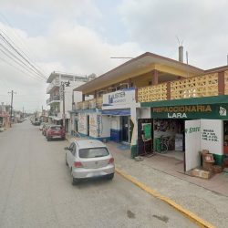 Dentista
