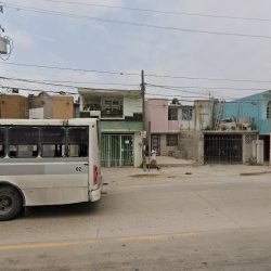 Dentista