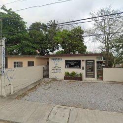 Dentista