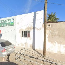 Dentista