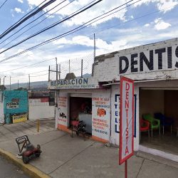 Dentista