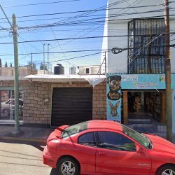 Dentista