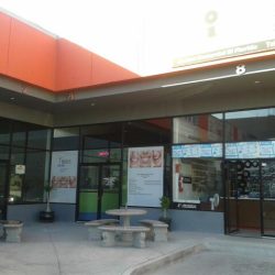 Dentista