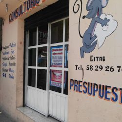 Dentista