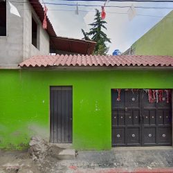 Dentista