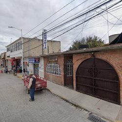 Dentista