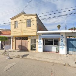 Dentista