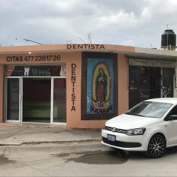 Dentista