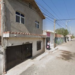 Dentista
