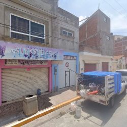 Dentista