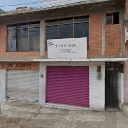 Dentista