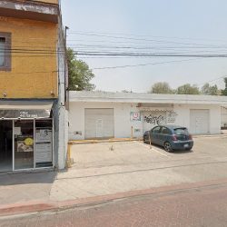 Dentista