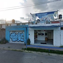 Dentista