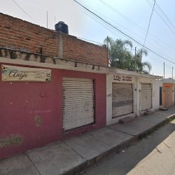 Dentista