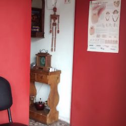 Dentista
