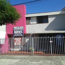Dentista