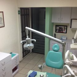 Dentista Laura Vera