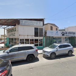 Dentista Liliana Ayala Cossio