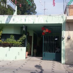 Dentista Manuel Negrete