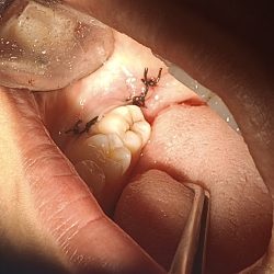 Dentista Martín Ramírez Navarrete