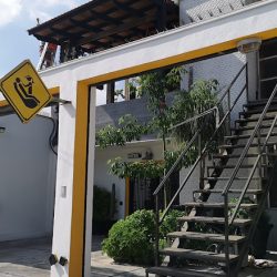 Dentista Monterrey | Bmd