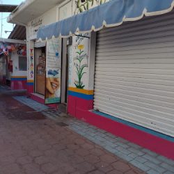 Dentista Odontec
