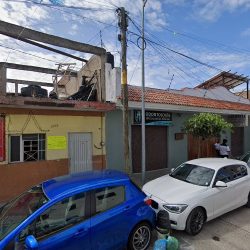 Dentista Odontologia