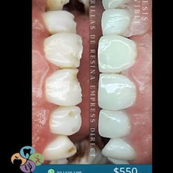 Dentista Odontologia Integral
