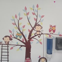 Dentista, Odontopediatra, Ortodoncia, Ortopedia Maxilar. Consultorio Dental San Rafael